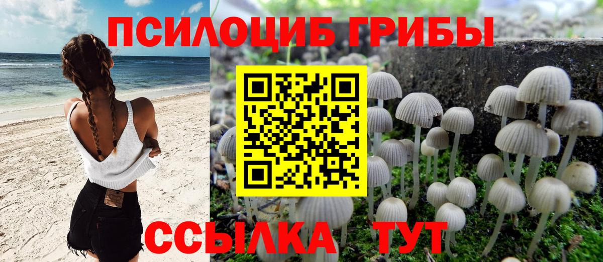 Псилоцибиновые грибы прущие грибы Губкин