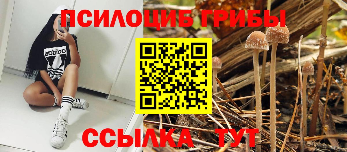 Галлюциногенные грибы GOLDEN TEACHER  Вход с VPN  Галлюциногенные грибы GOLDEN TEACHER  Губкин 